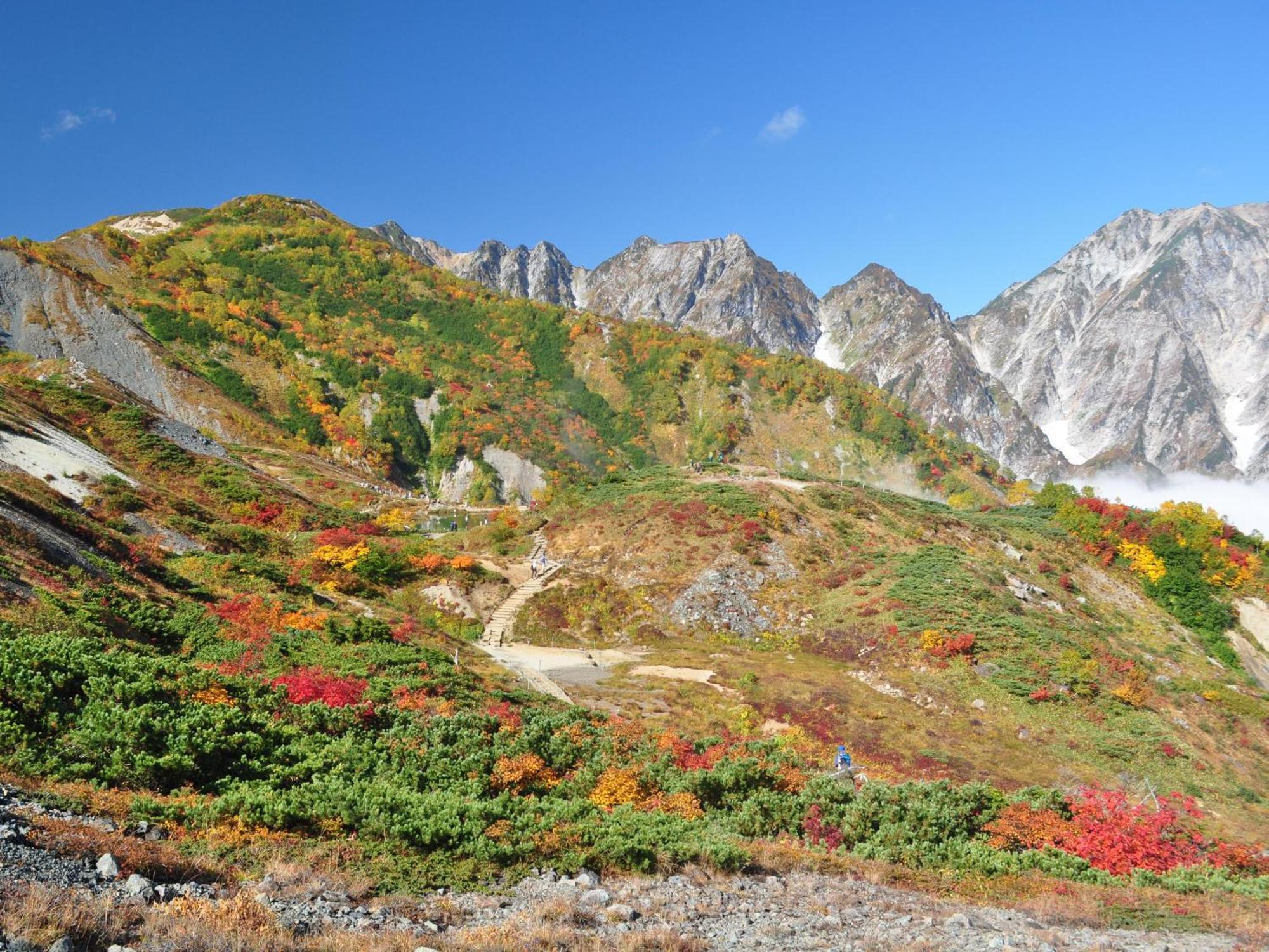 Kudo'S Lodge Hakuba Buitenkant foto